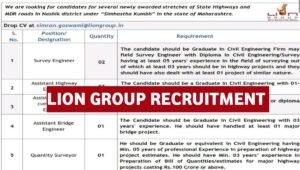 Lion Engineering Group Vacancy